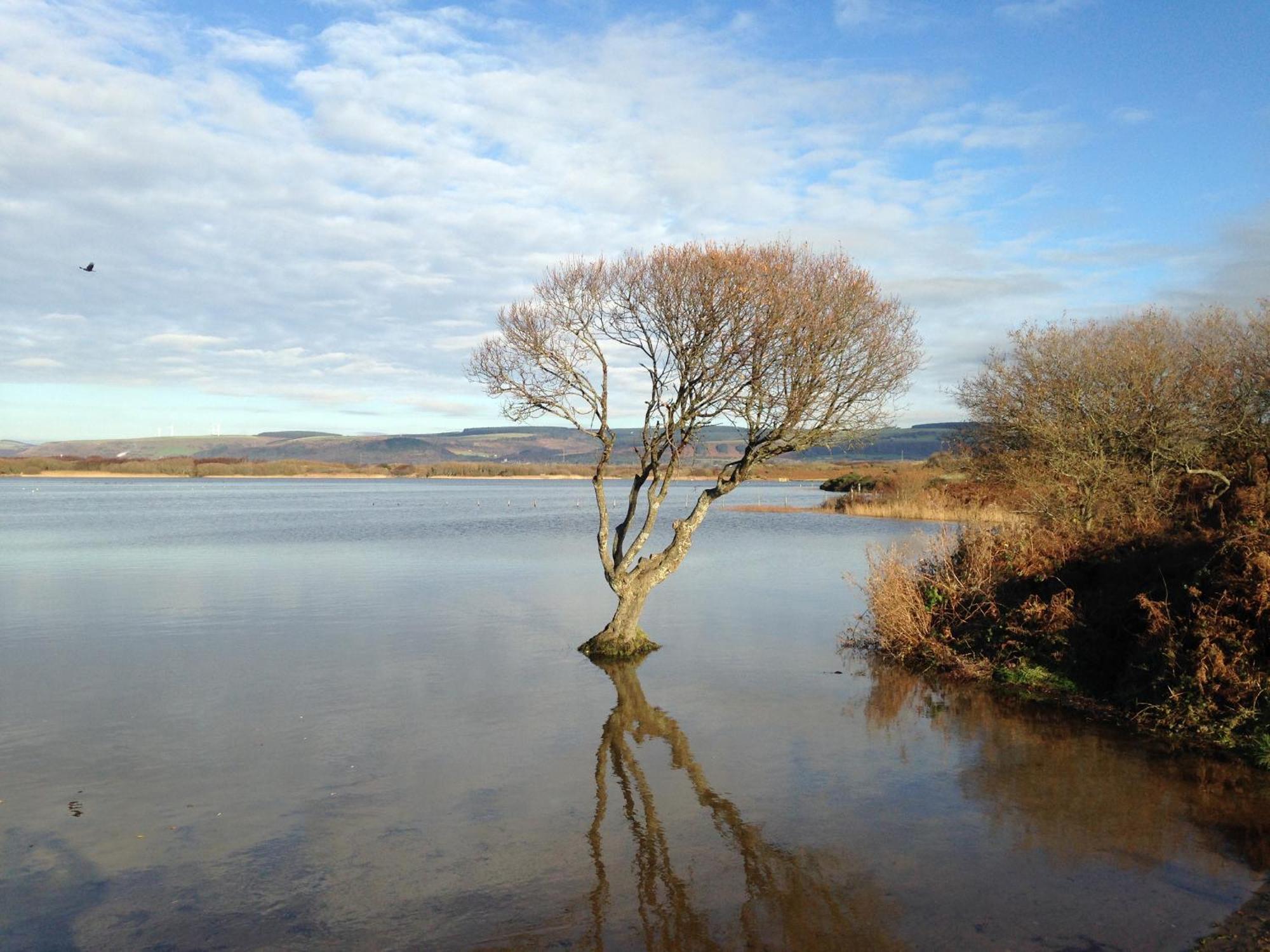 Villa Kenfig Farm Bridgend  Esterno foto